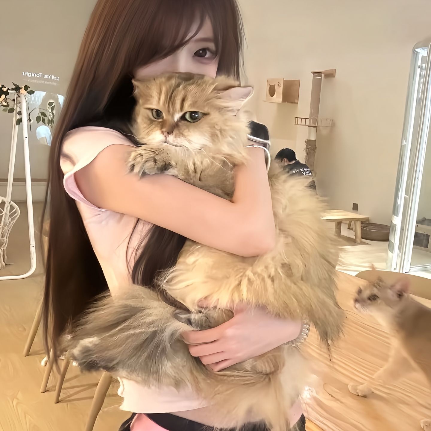 用户头像