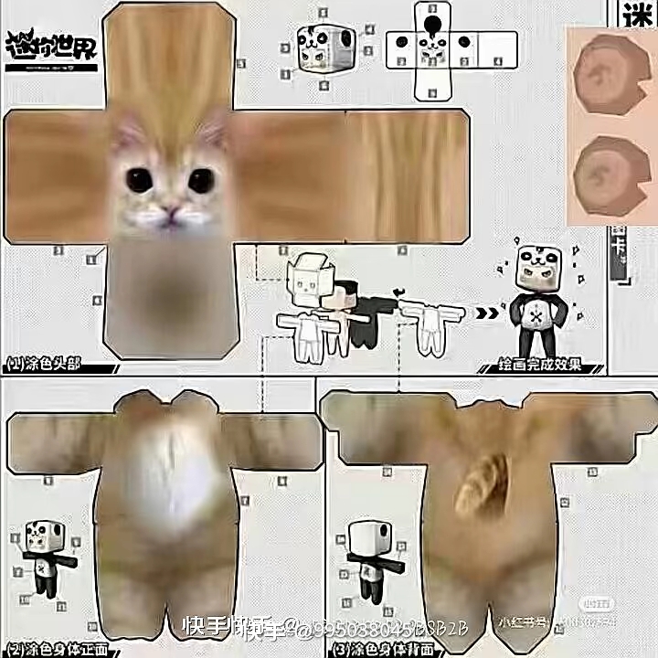 用户头像