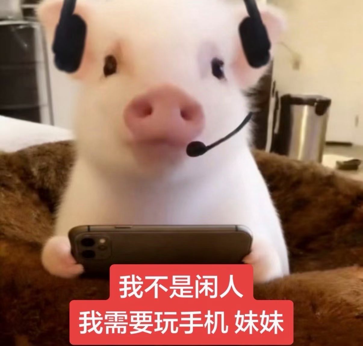 用户头像