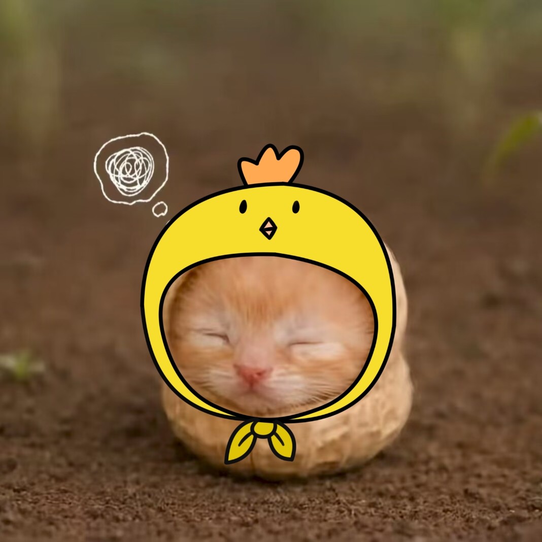 用户头像