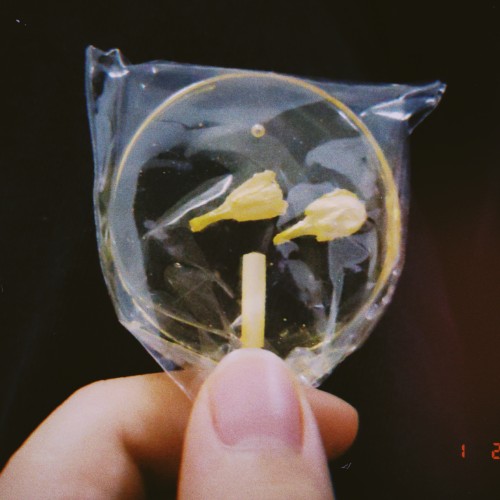 用户头像