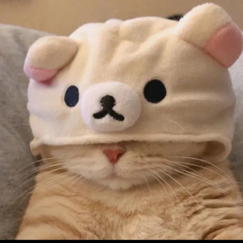 用户头像