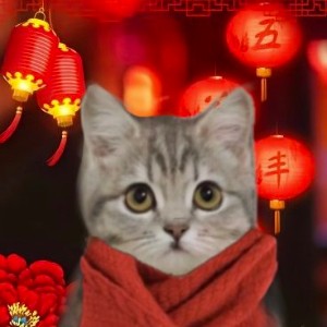 用户头像