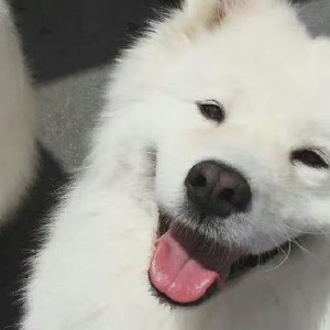 用户头像