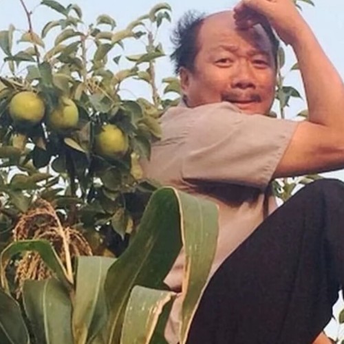用户头像