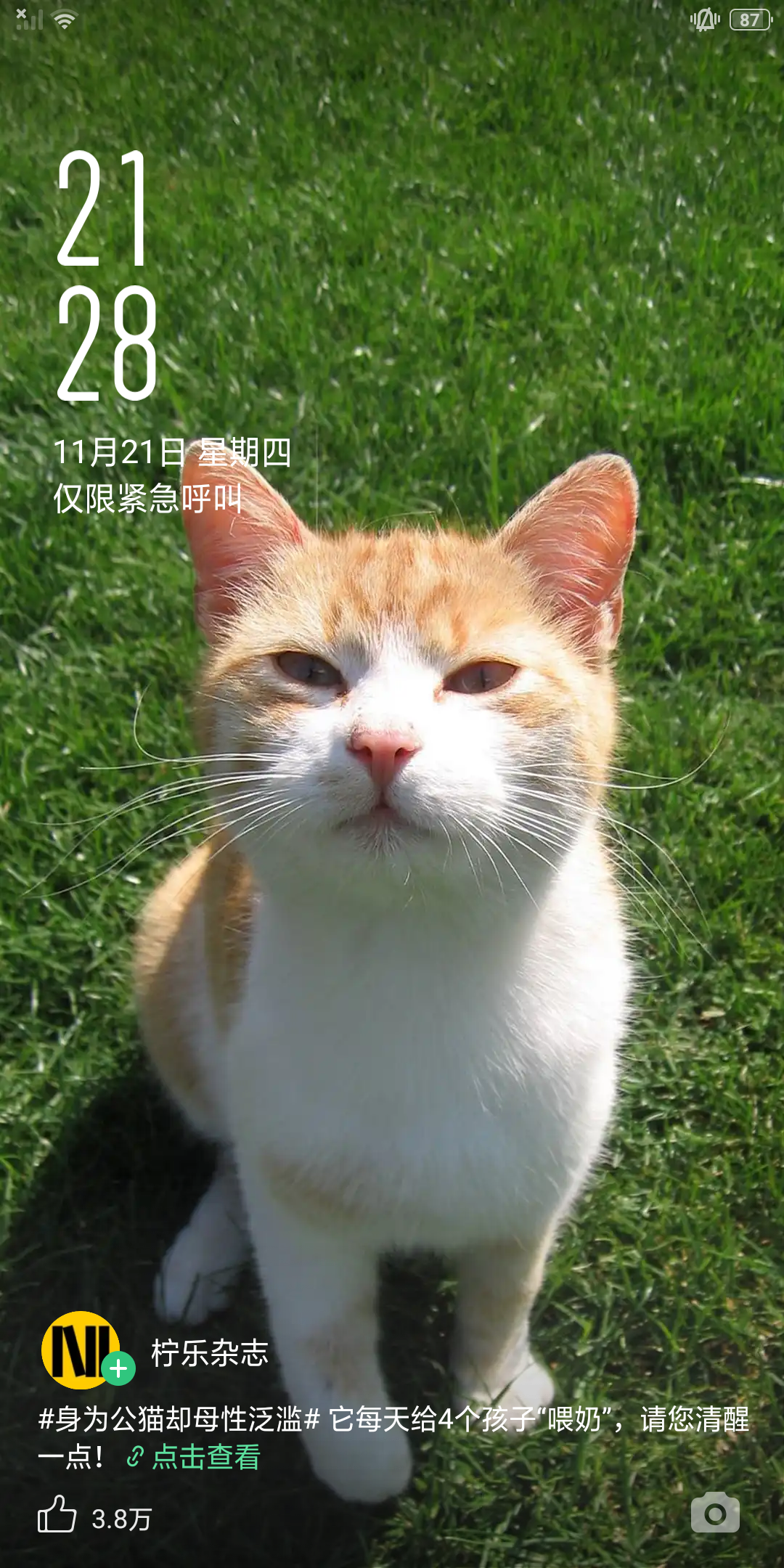 用户头像