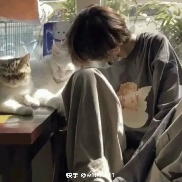 用户头像