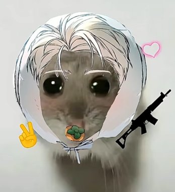 用户头像
