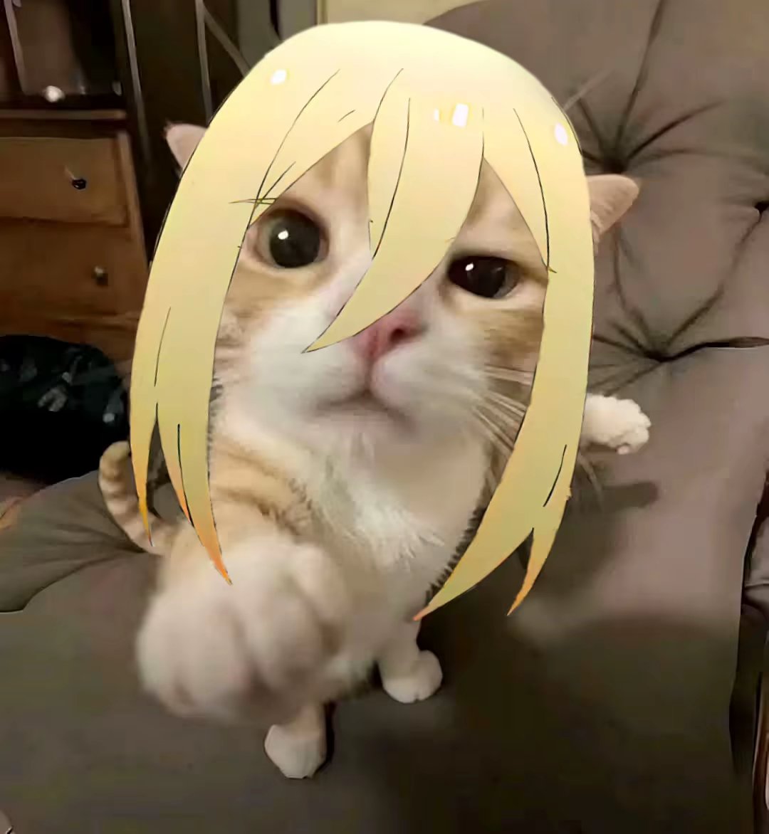 用户头像