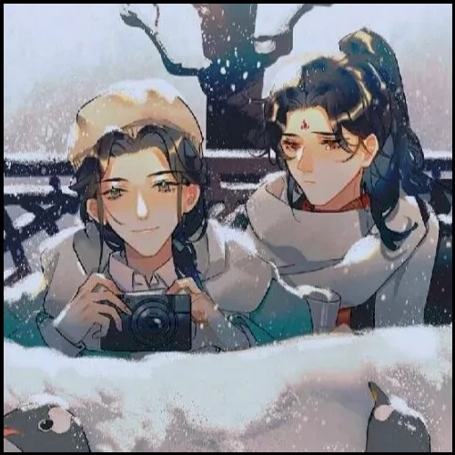 用户头像