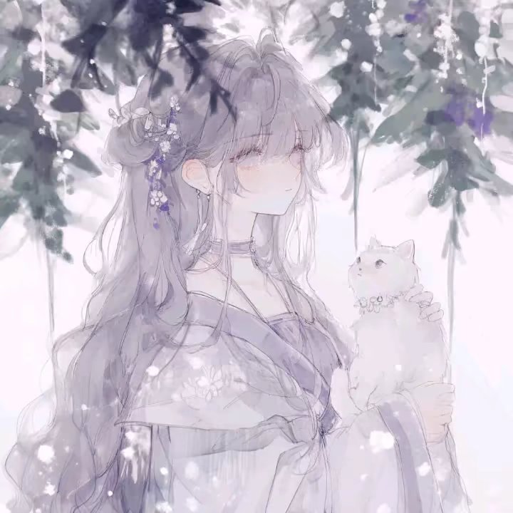 用户头像