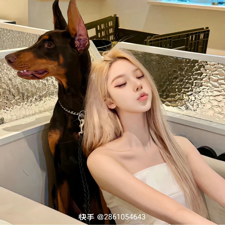 用户头像