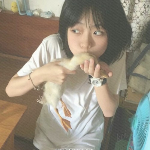 用户头像