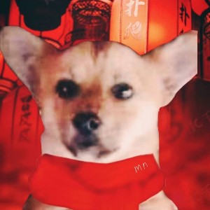 用户头像