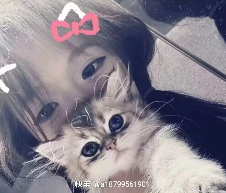 用户头像