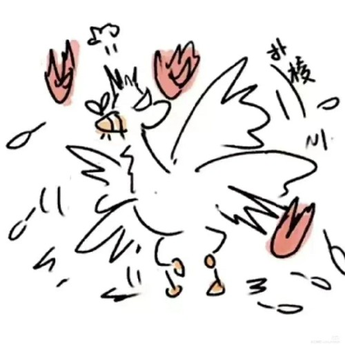 用户头像