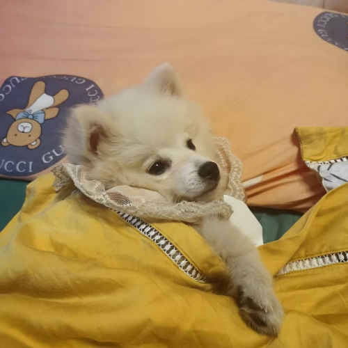 用户头像