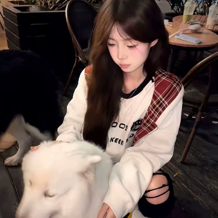 用户头像