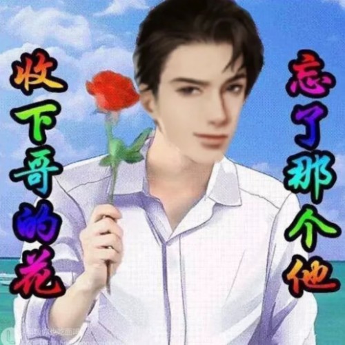 用户头像