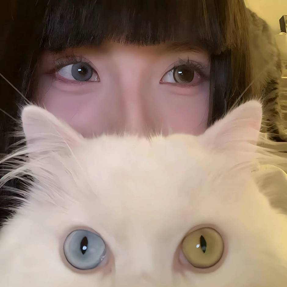 用户头像