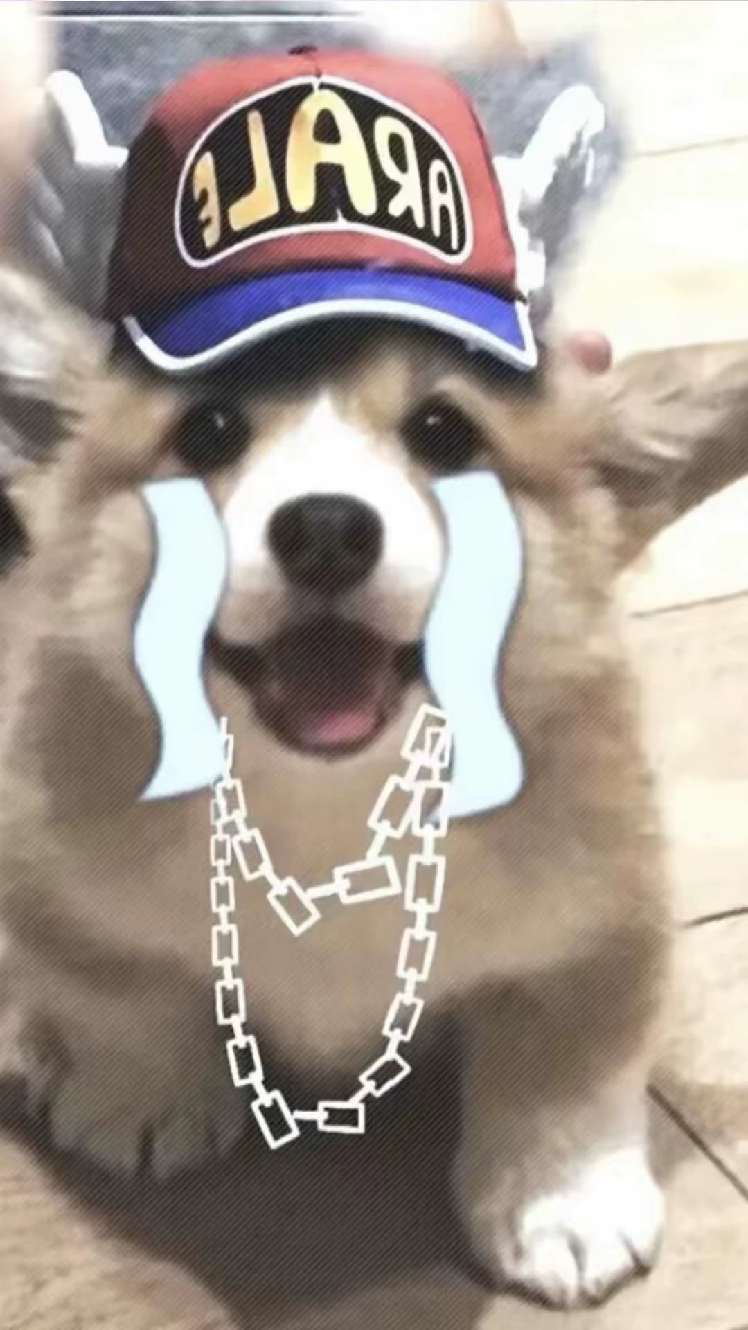 用户头像