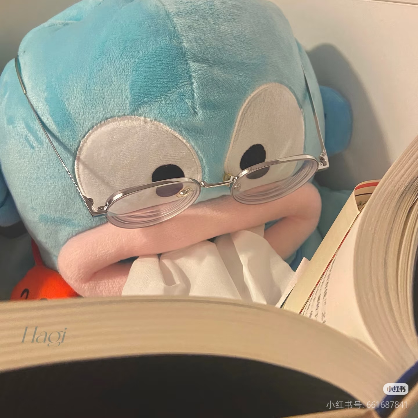 用户头像