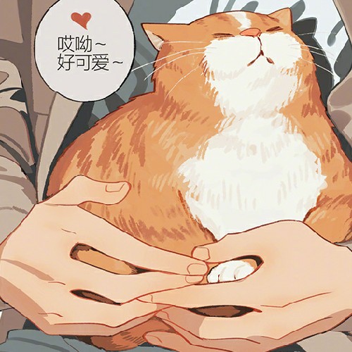 用户头像
