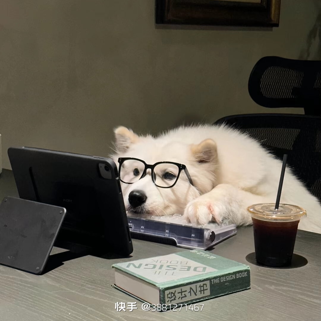 用户头像