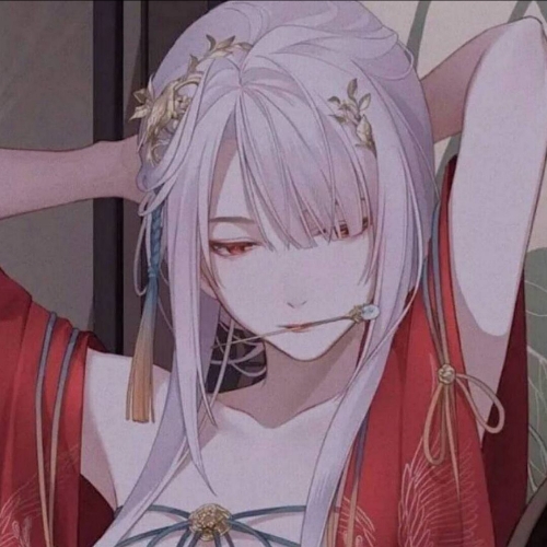 用户头像
