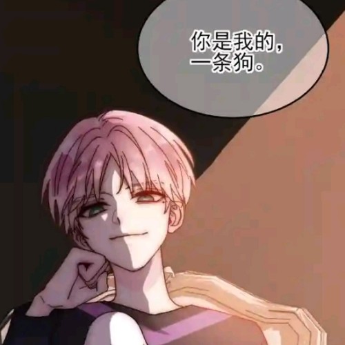 用户头像