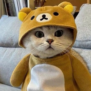 用户头像