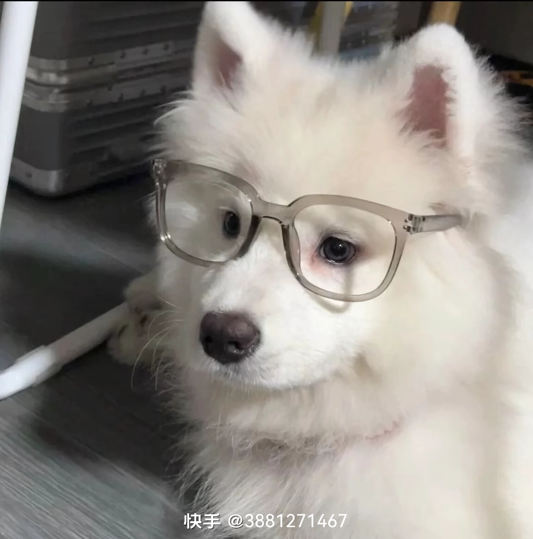用户头像