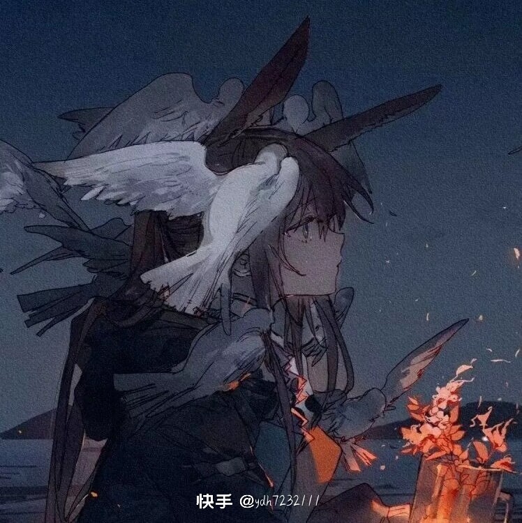 用户头像