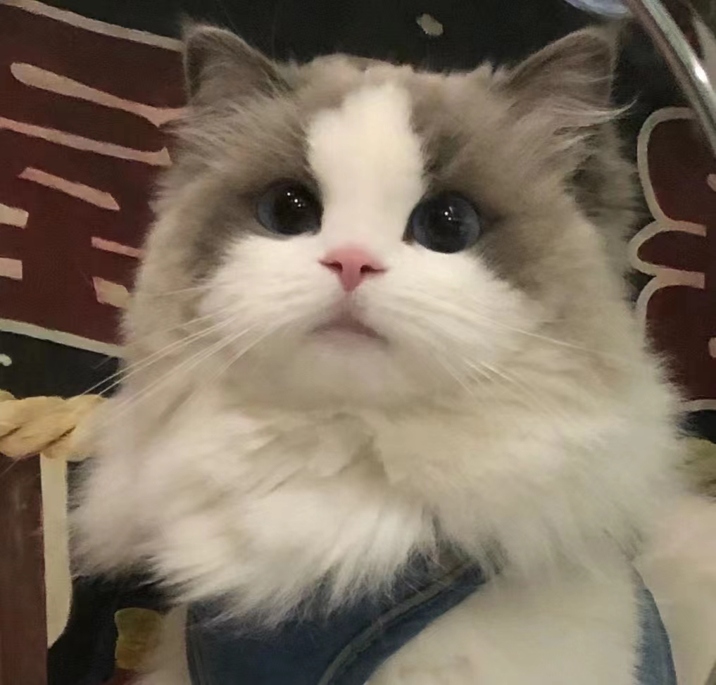 用户头像
