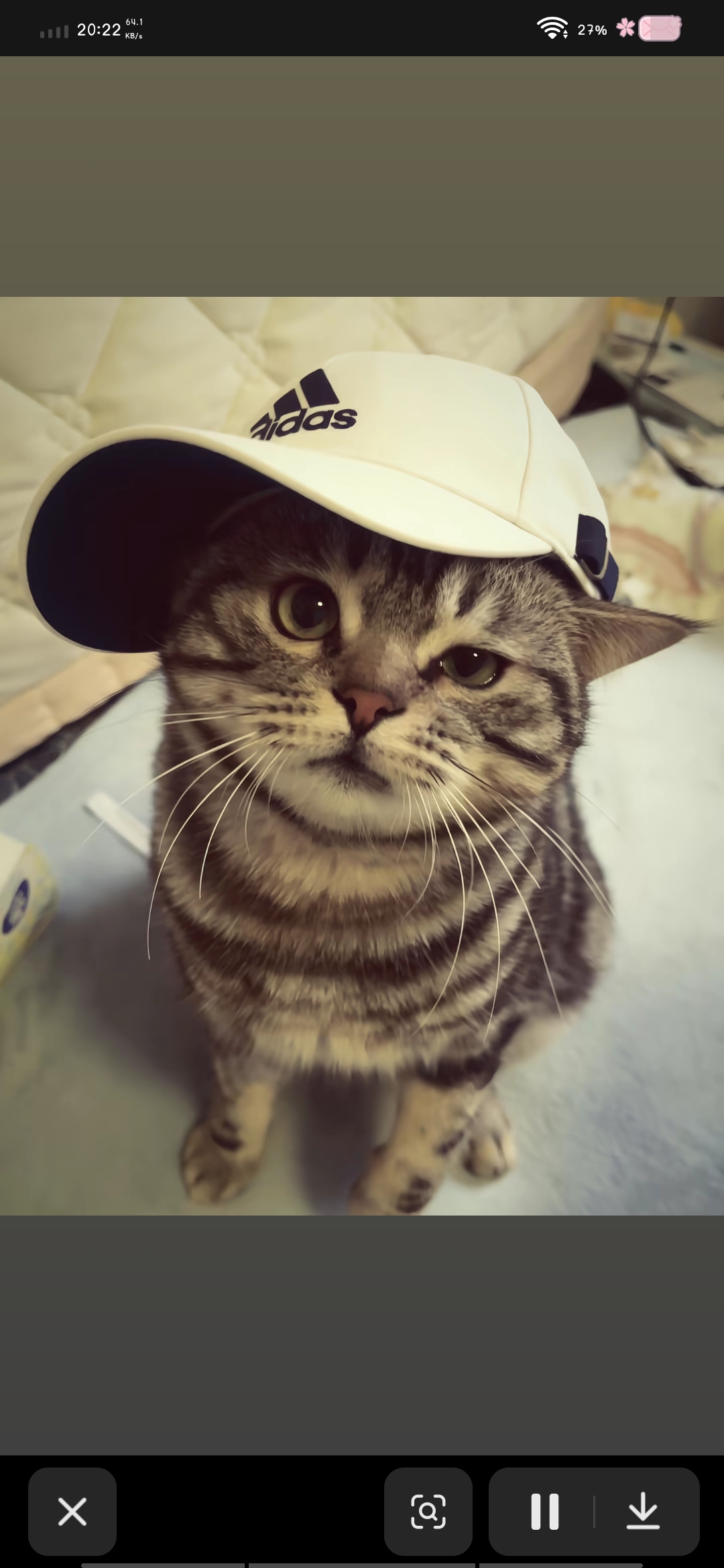 用户头像