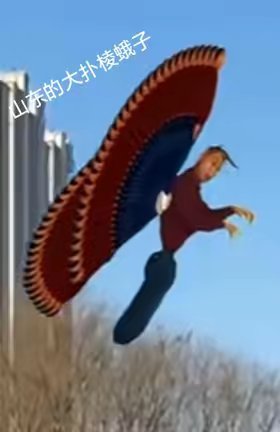 用户头像