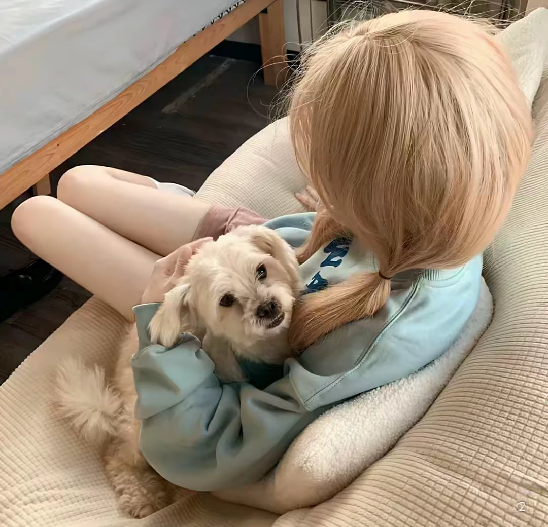 用户头像