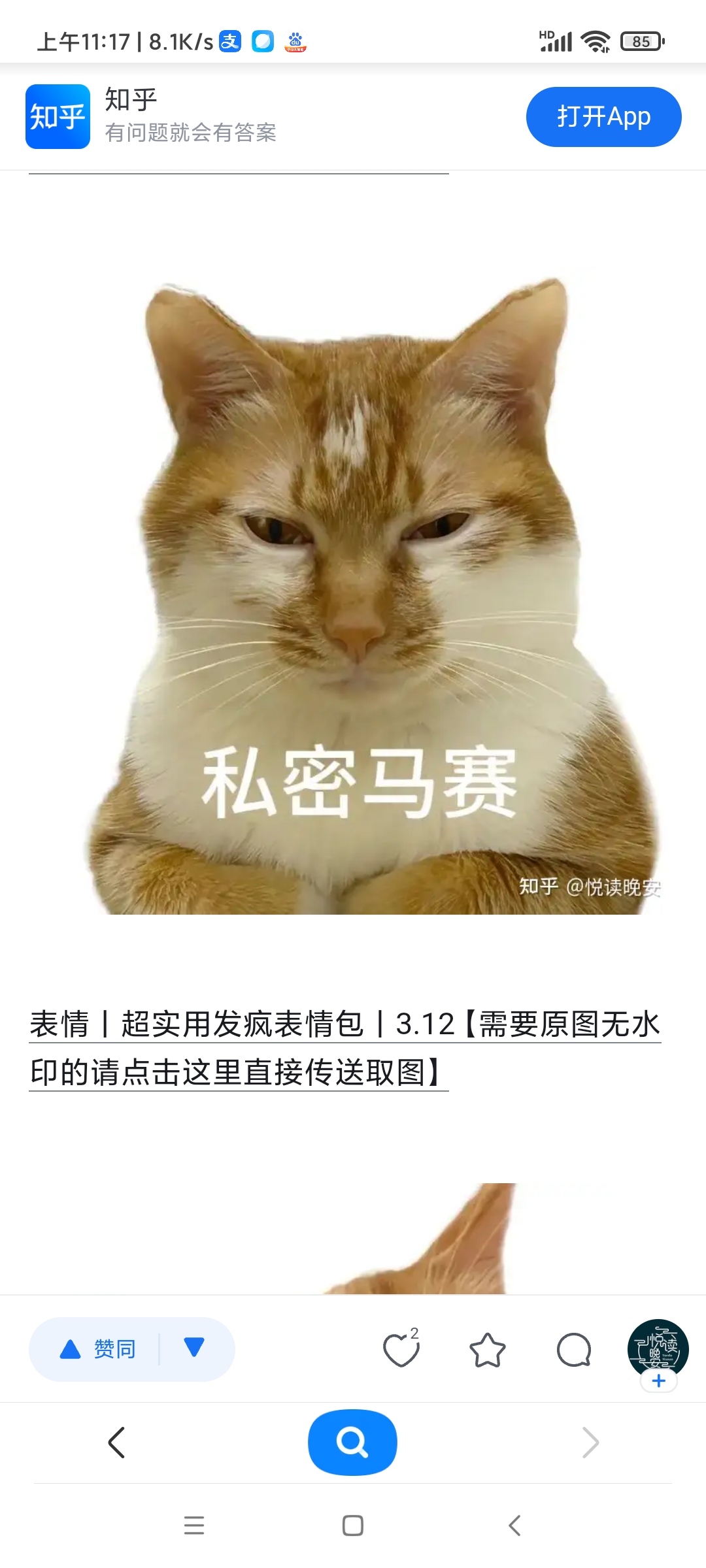 用户头像