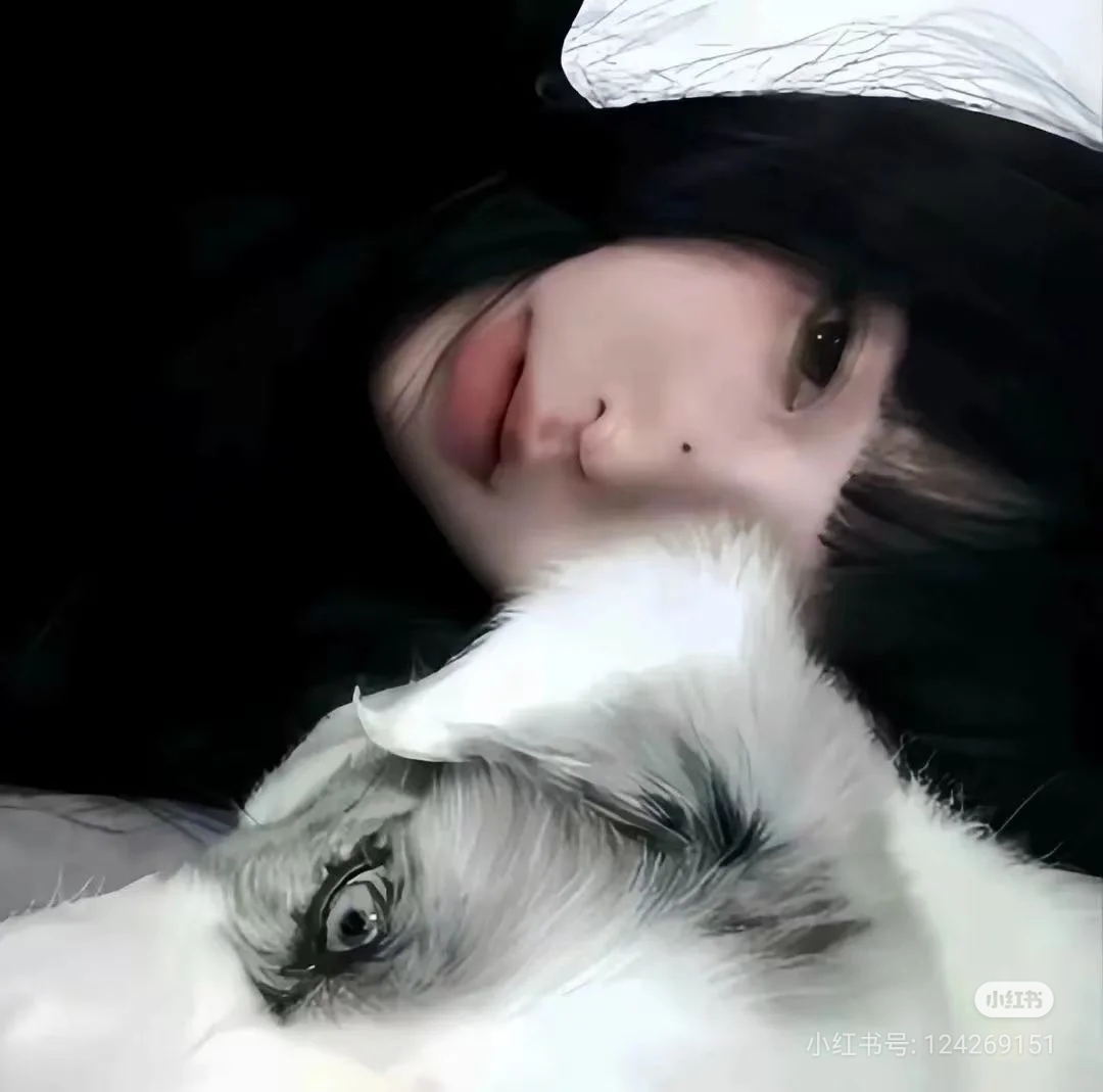 用户头像