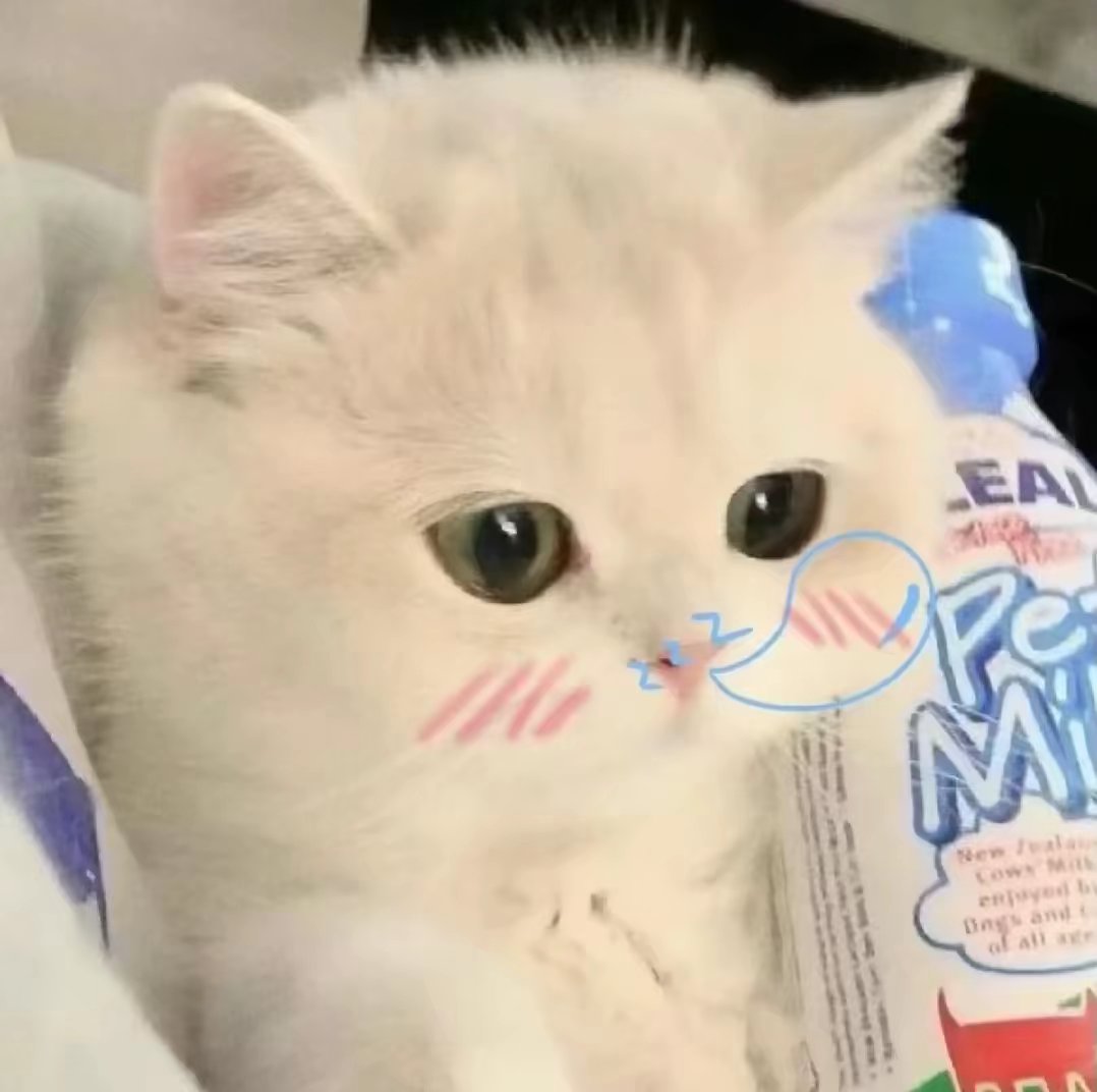 用户头像