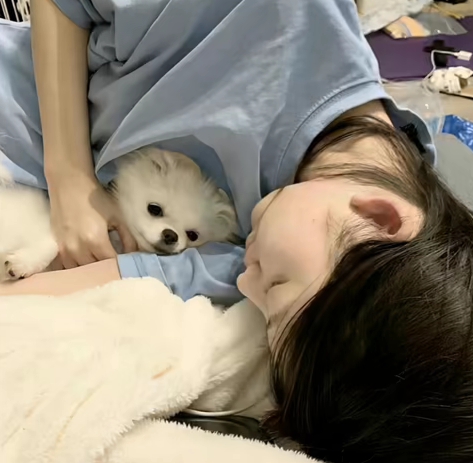 用户头像