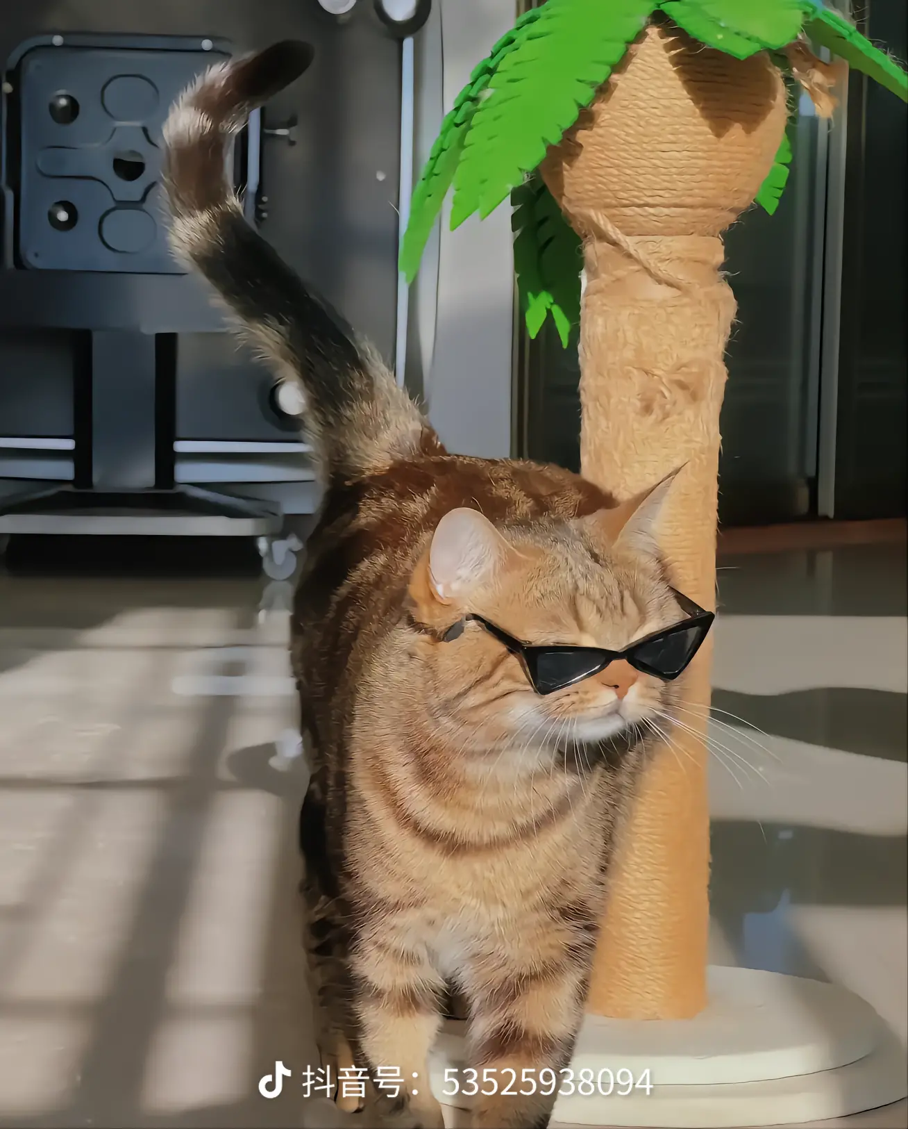用户头像