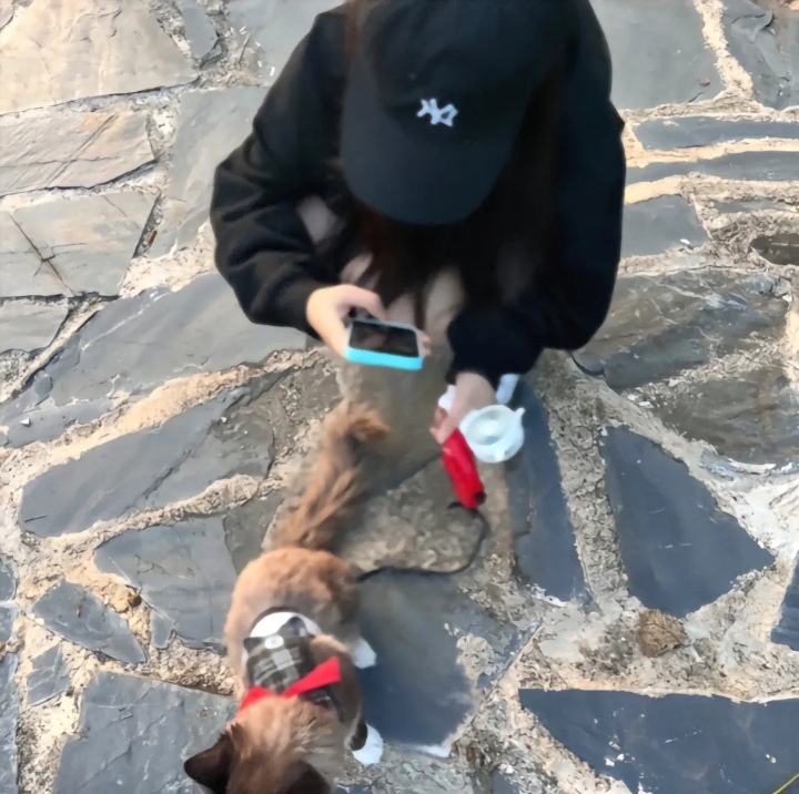 用户头像