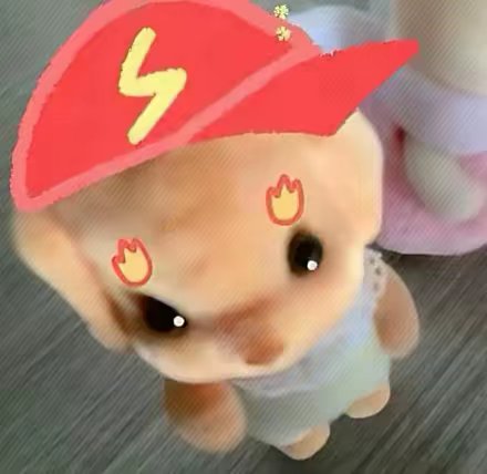 用户头像