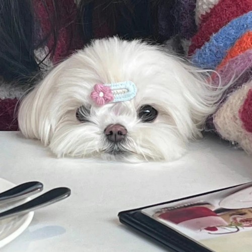 用户头像