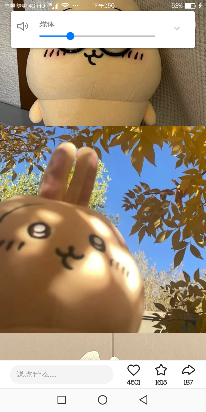 用户头像