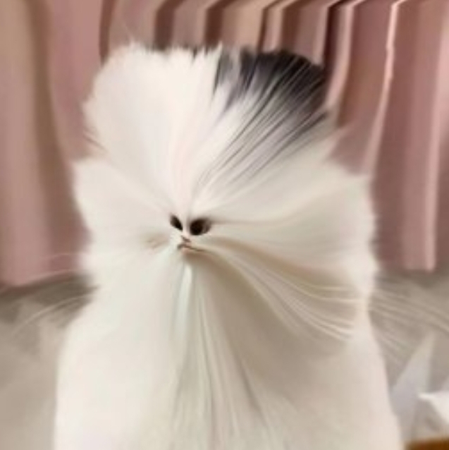 用户头像