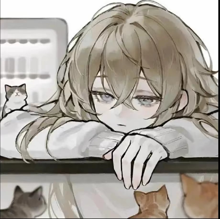 用户头像