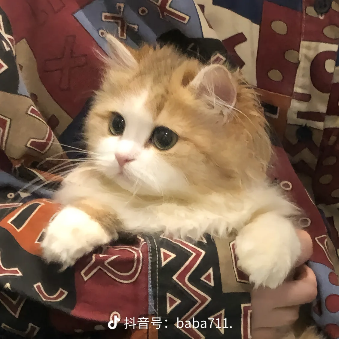 用户头像