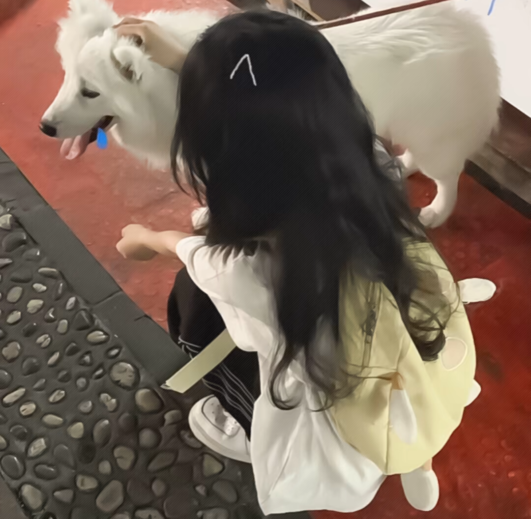 用户头像